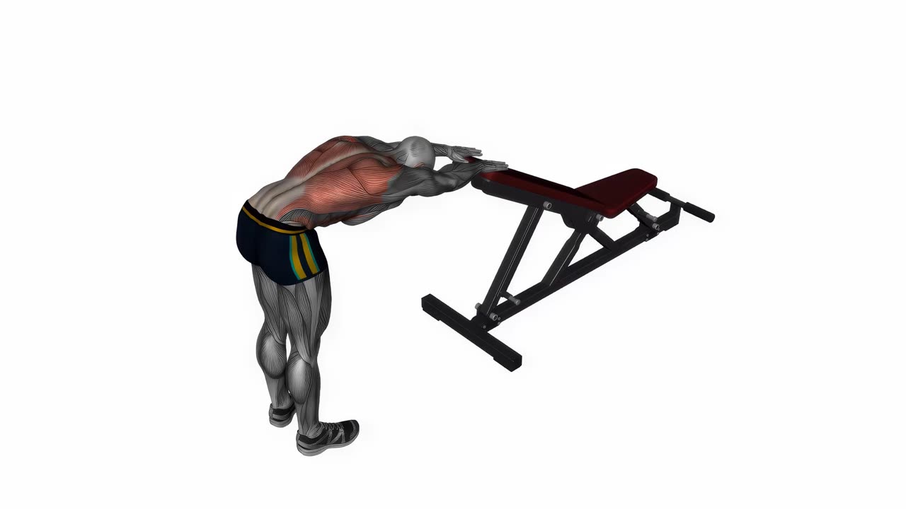 Stående ryggstretch mot bänk - startposition