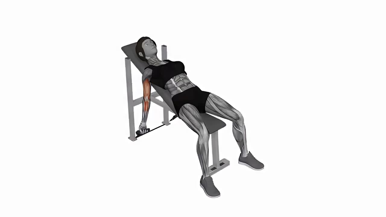 Uppåtlutande bicepscurl med band - startposition