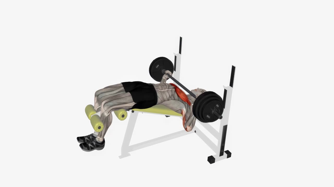 Nedåtlutande bänkpress med skivstång - startposition