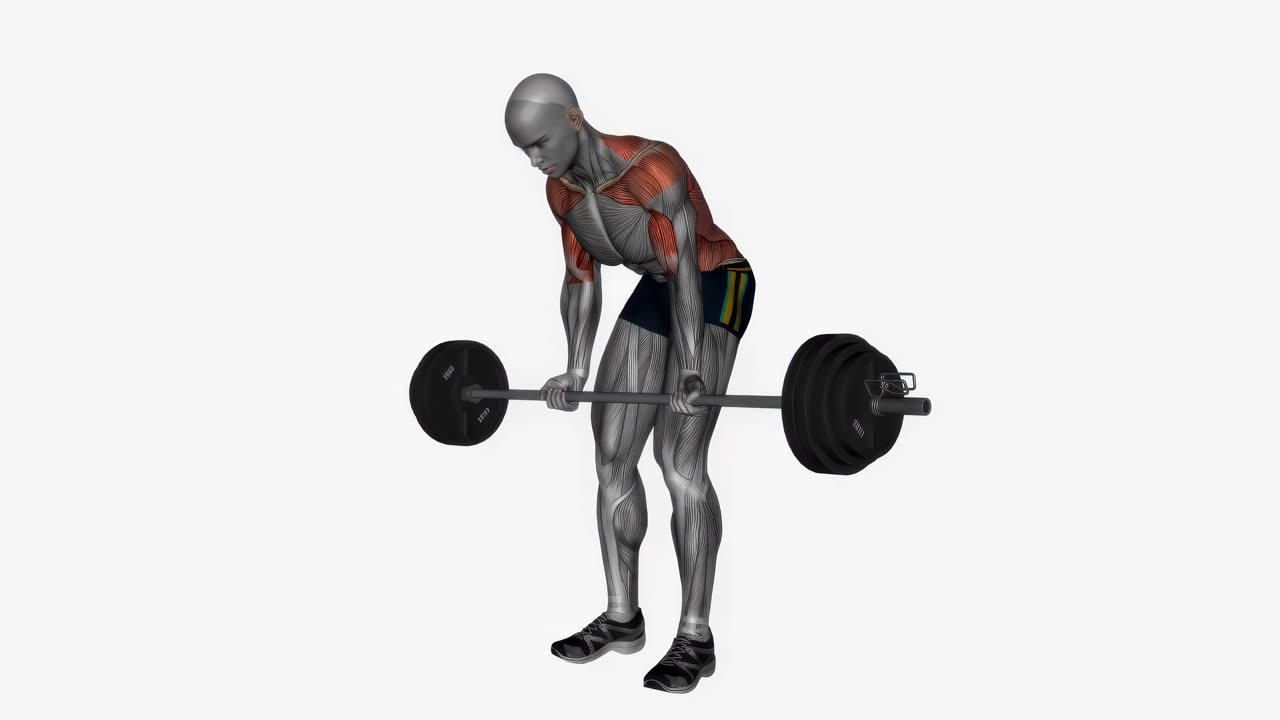 Skivstångsrodd med underhandsgrepp - startposition