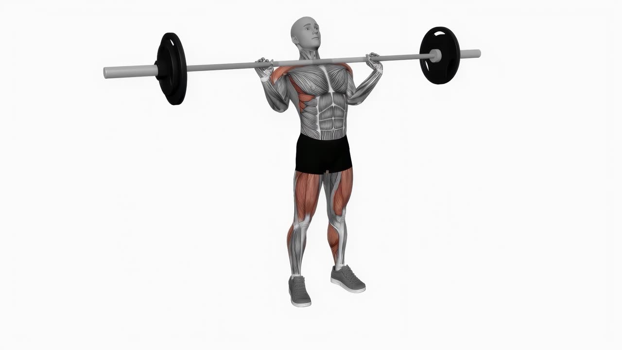 Frivändning med skivstång (power clean) - slutposition