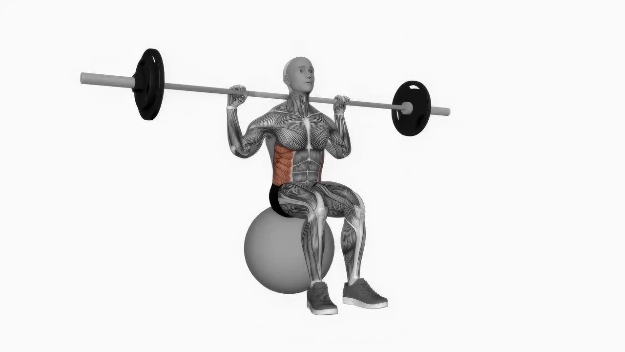 Sittande rotation med skivstång på gymball - startposition