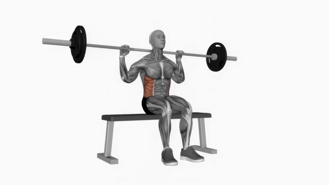 Sittande rotation med skivstång - startposition