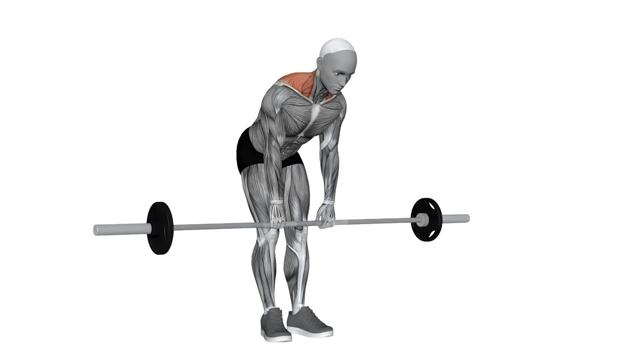 Skivstångsshrug med framåtlutning - startposition