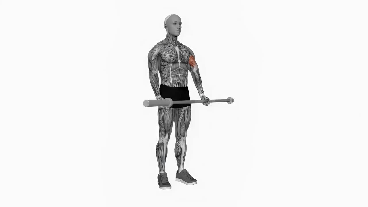 Enarms bicepscurl med skivstång - startposition