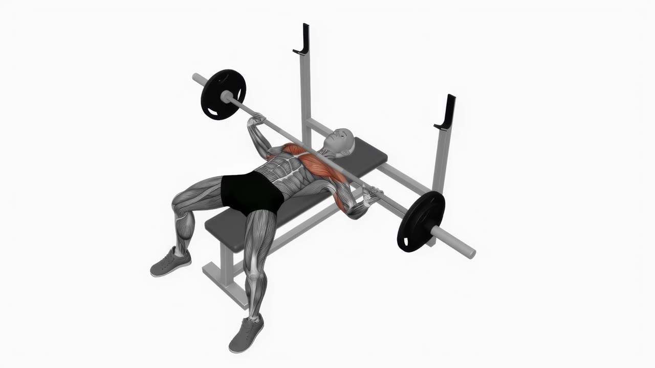 Bred bänkpress med skivstång - startposition
