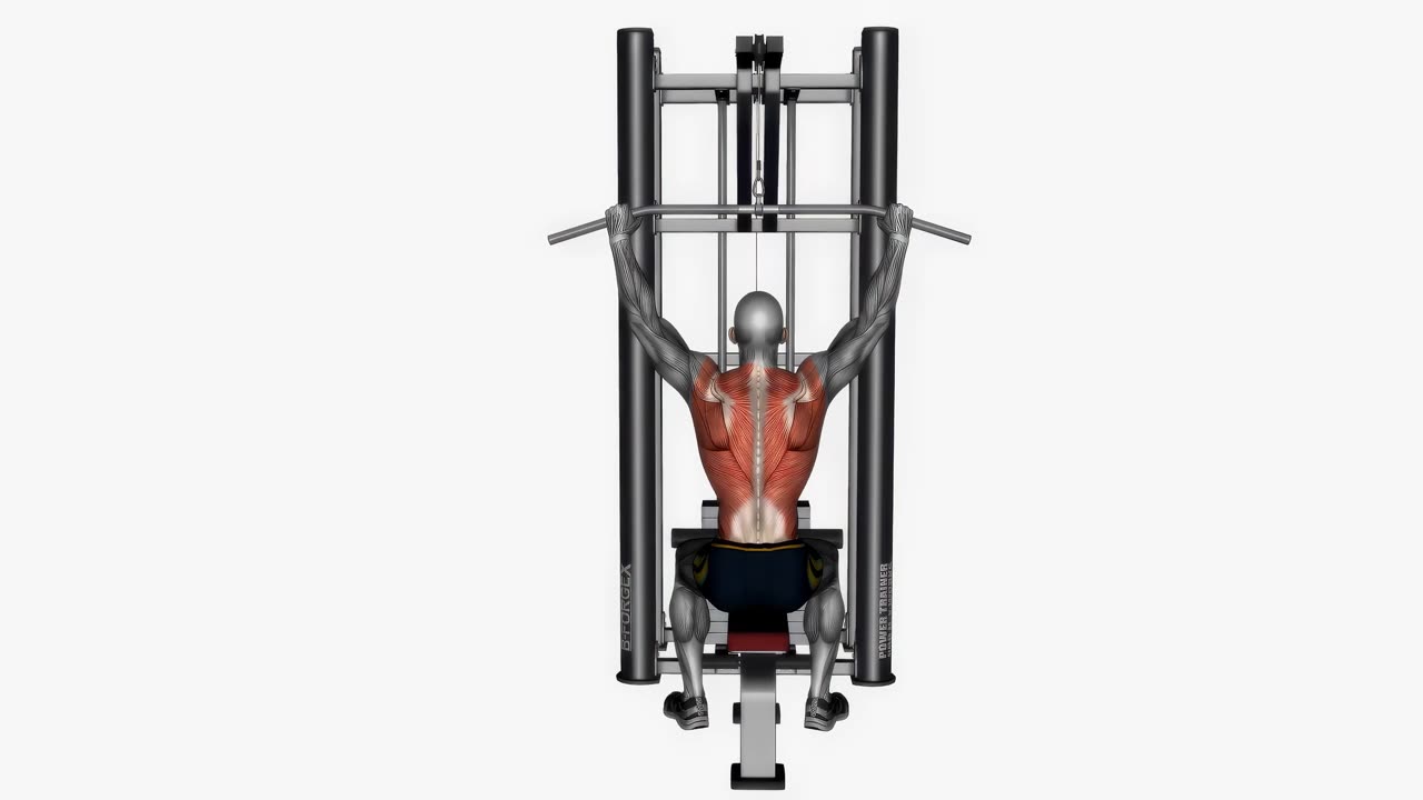 Latsdrag bakom nacken - startposition