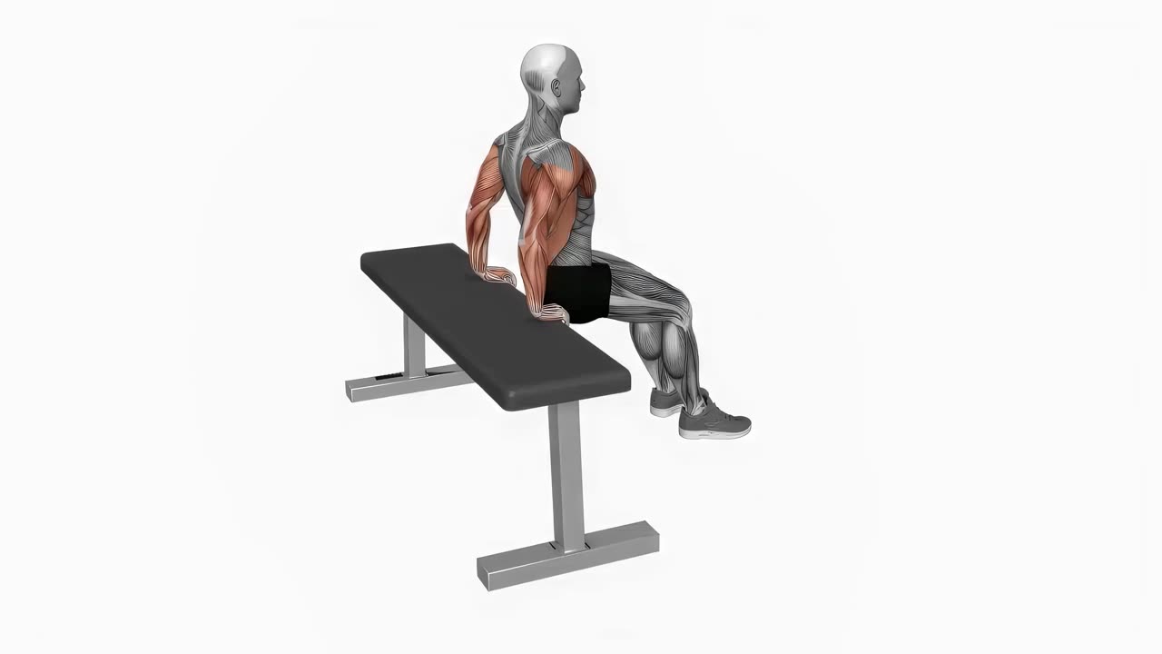 Dips med böjda knän (bänk) - startposition