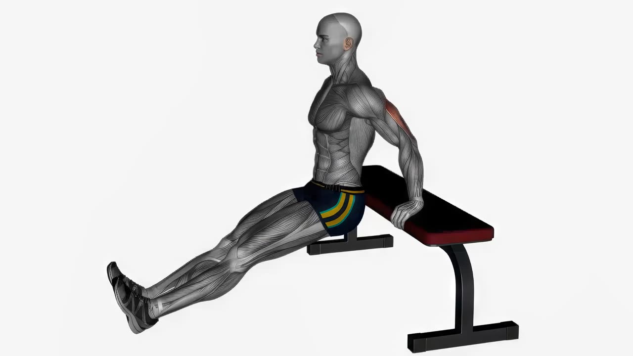 Dips på bänk med lårcurl - startposition