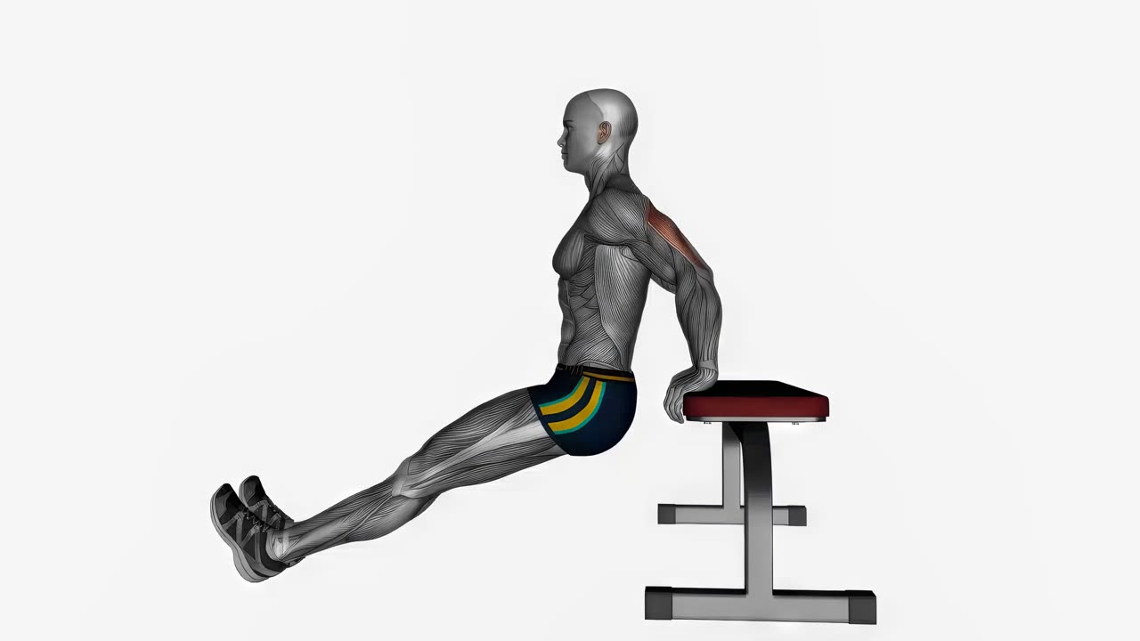 Dips med raka ben mot bänk - startposition
