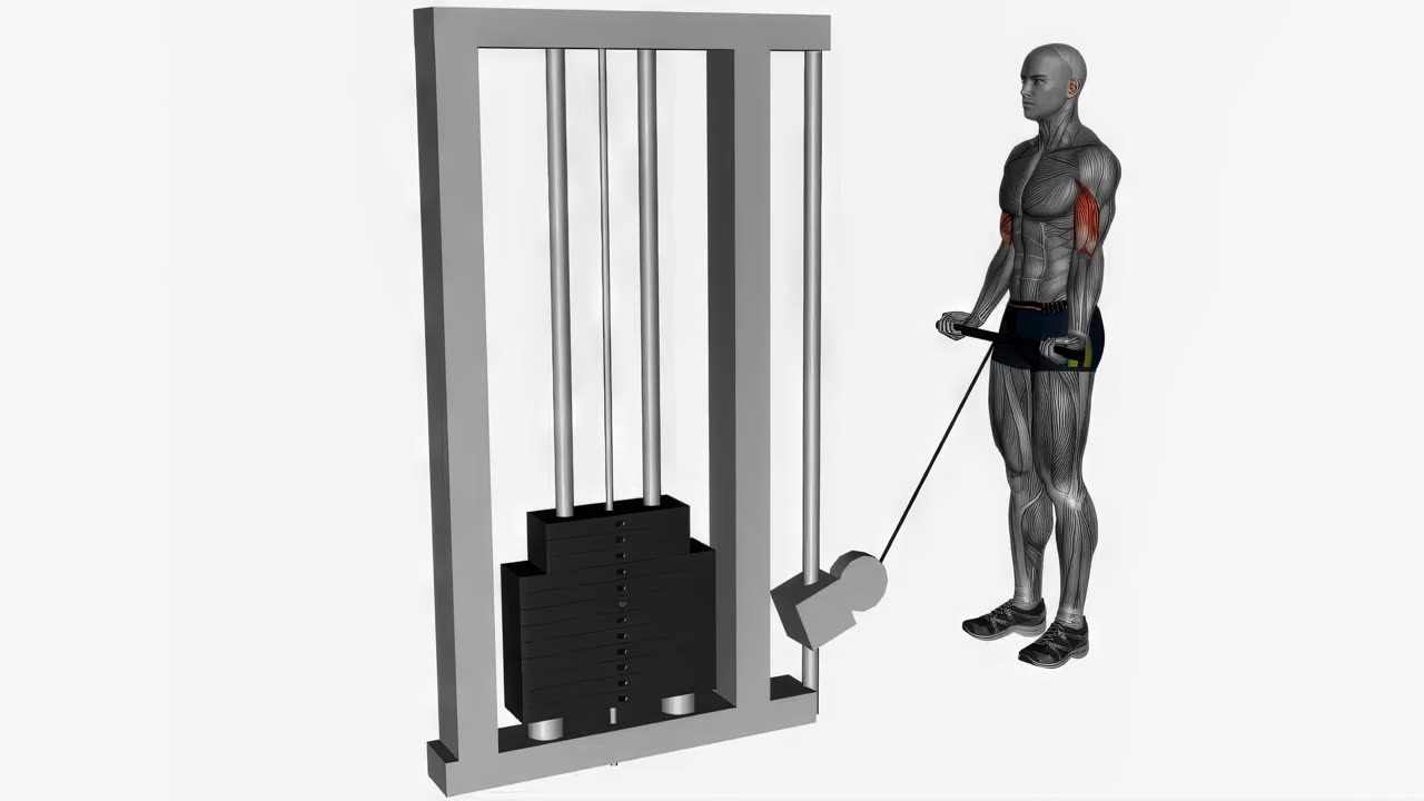 Kabelcurl med brett grepp - startposition