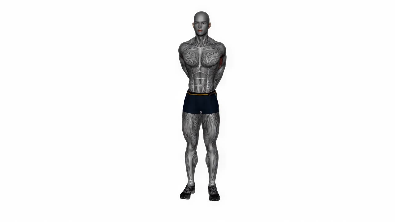 Bicepssträckning bakom ryggen - slutposition