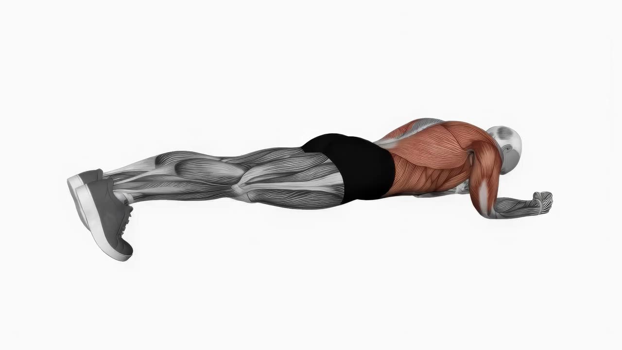 Body saw-planka - startposition