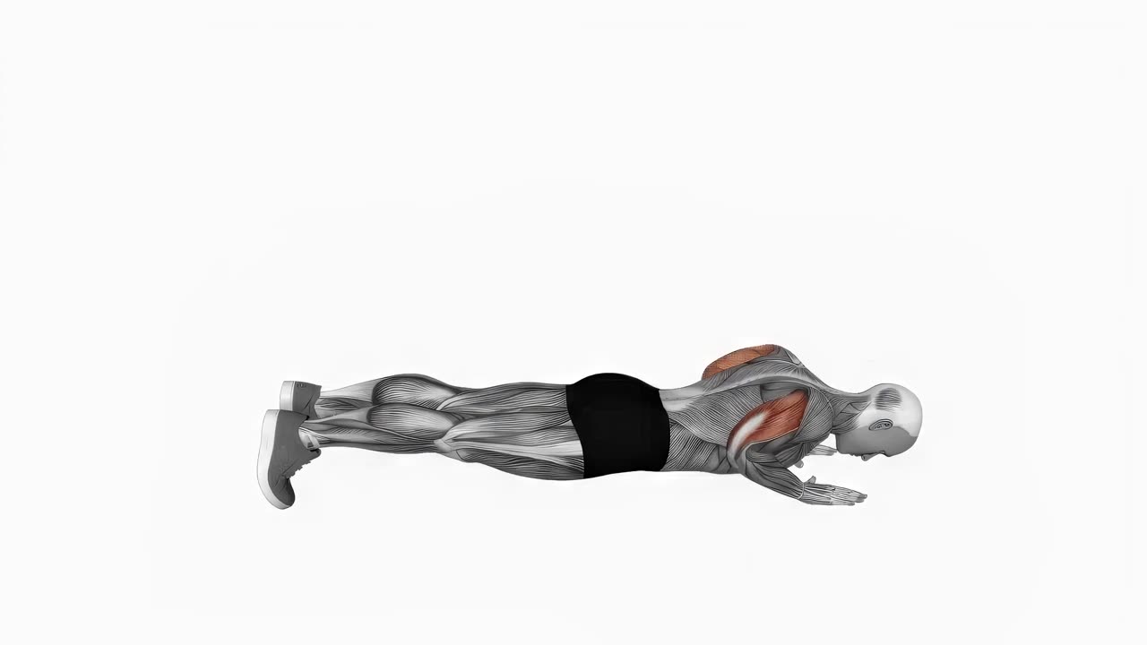 Body-up - startposition