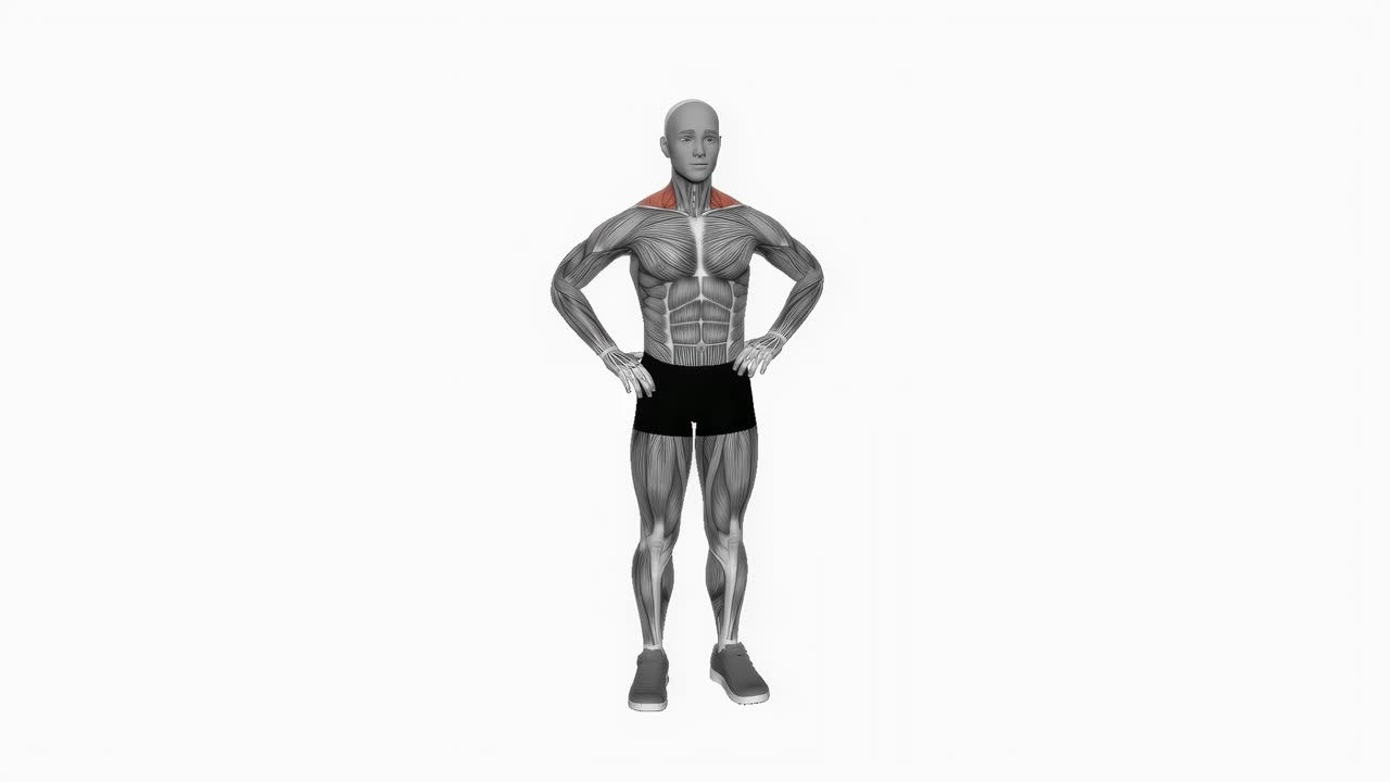 Stående shrug med kroppsvikt - startposition