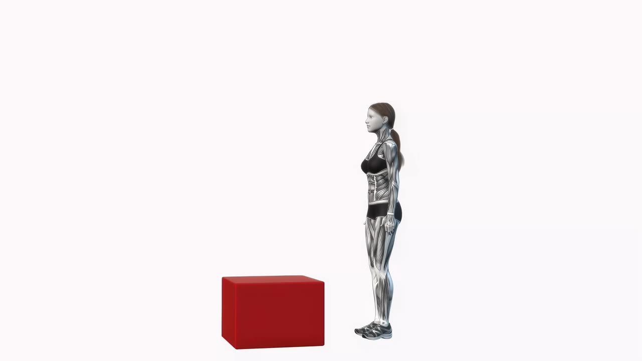 Boxhopp - startposition