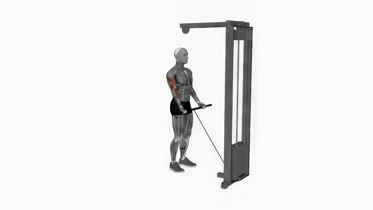 Kabelcurl med smalt grepp - startposition