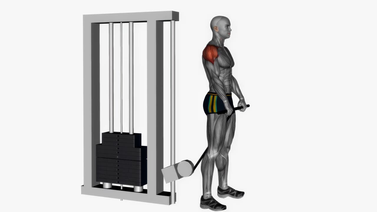 Kabelframåtlyft med stång - startposition