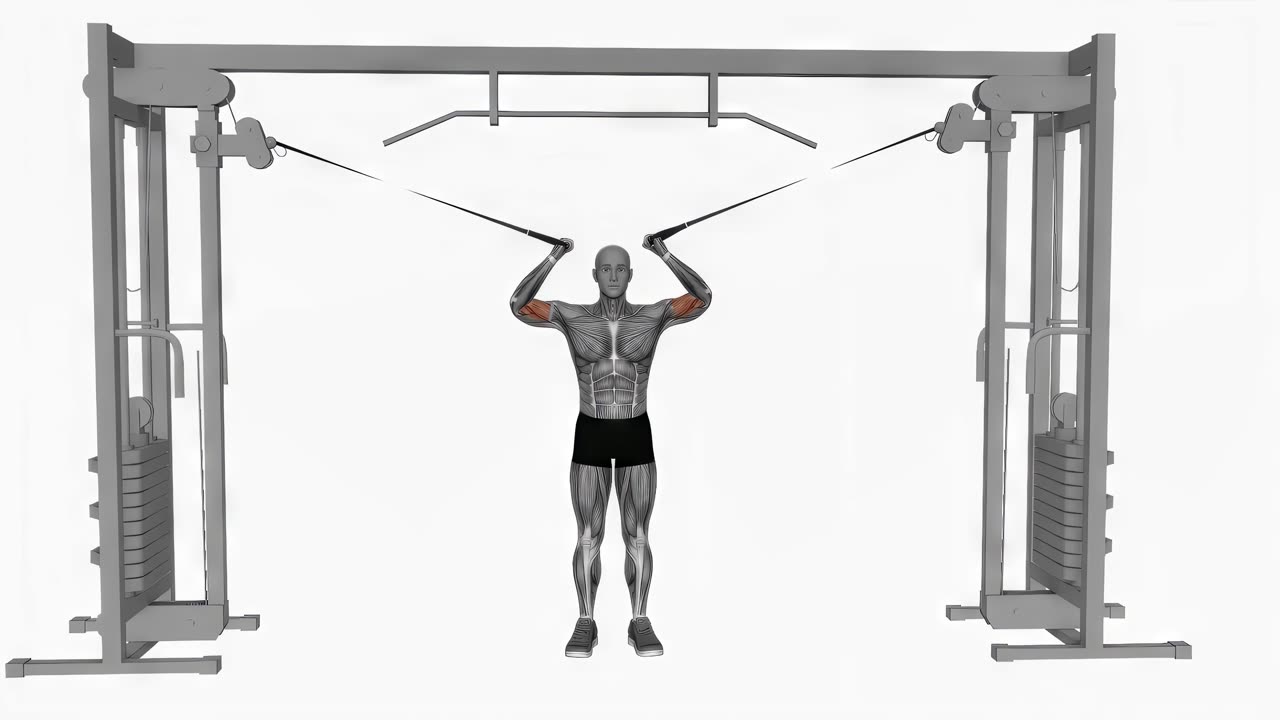 Overhead curl i kabel - slutposition