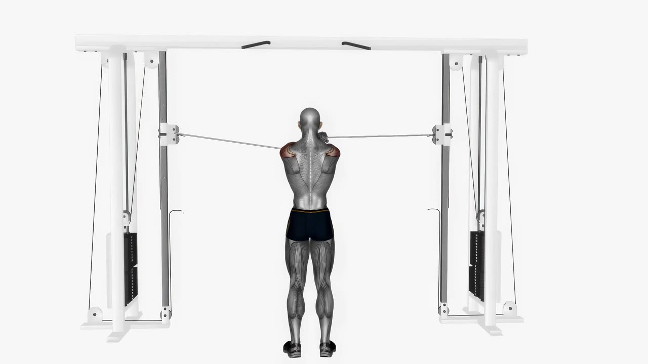 Kabelflyes bakre deltoider - startposition