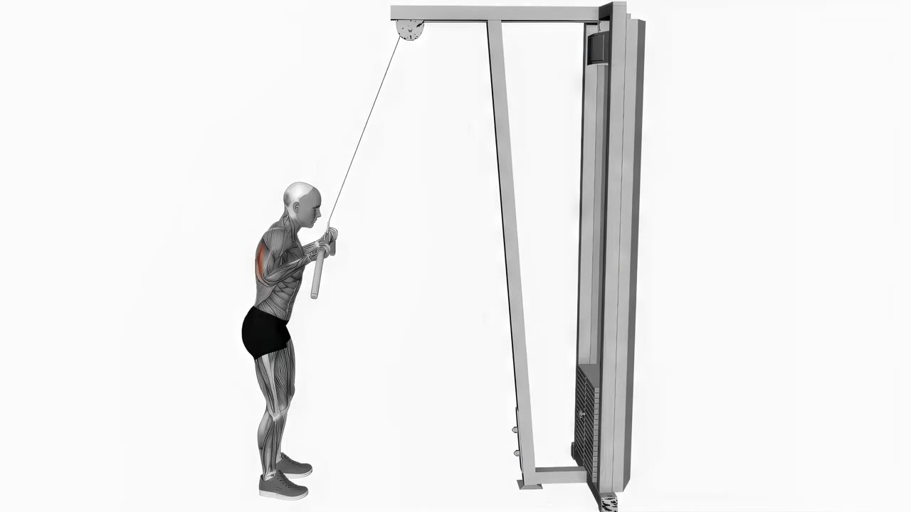 Kabel tricepspress med underhandsgrepp - startposition