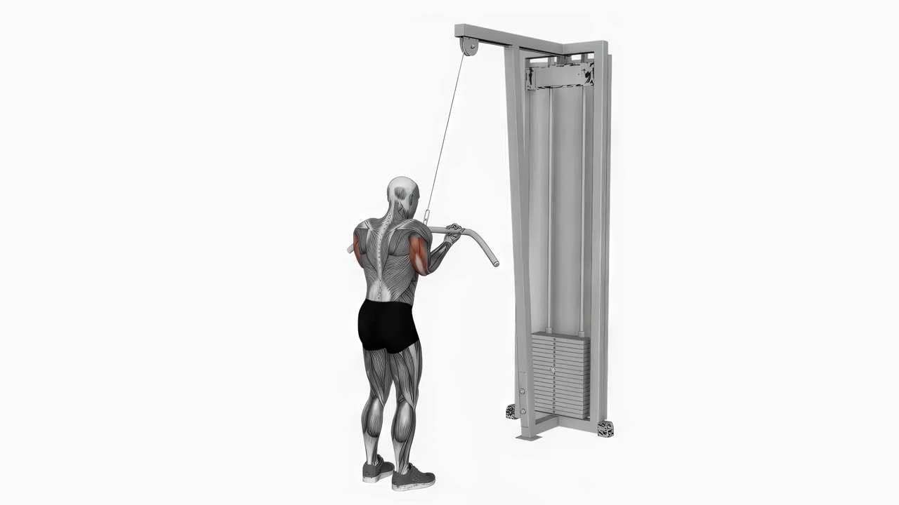 Kabeltricepspress med underhandsgrepp bakifrån - startposition