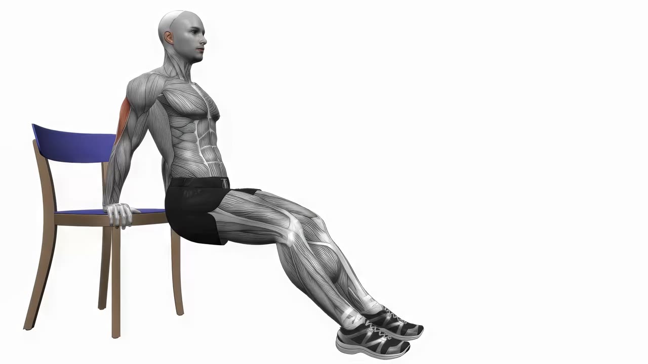 Dips med stol - startposition