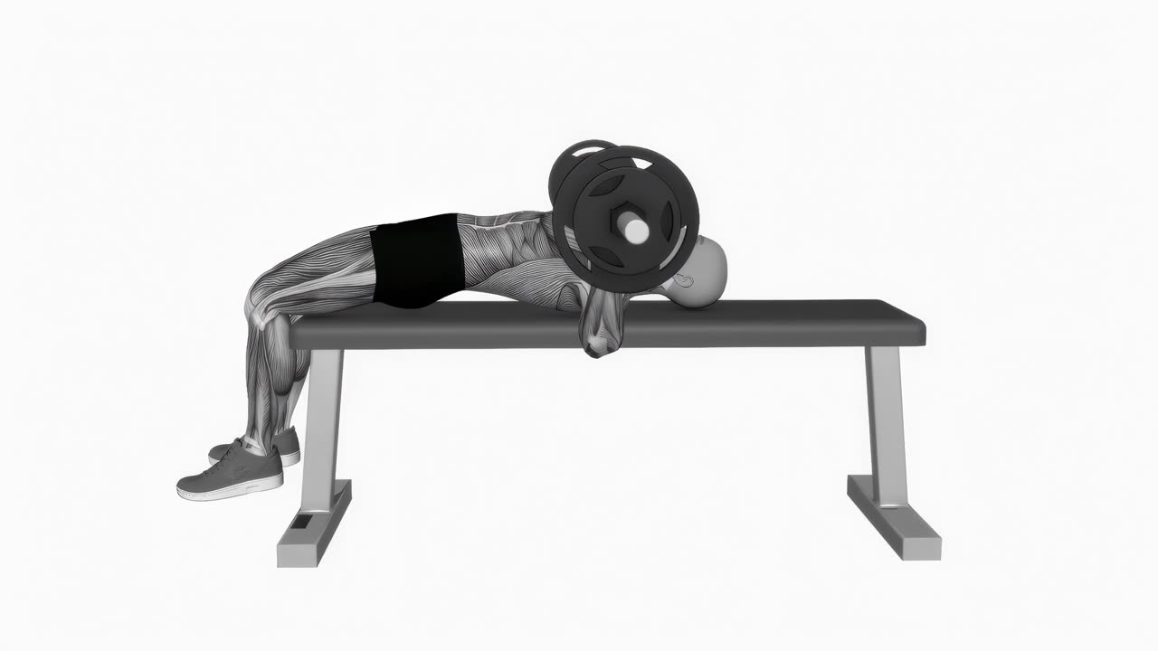 Bänkpress med skivstång – korrekt grundposition - slutposition
