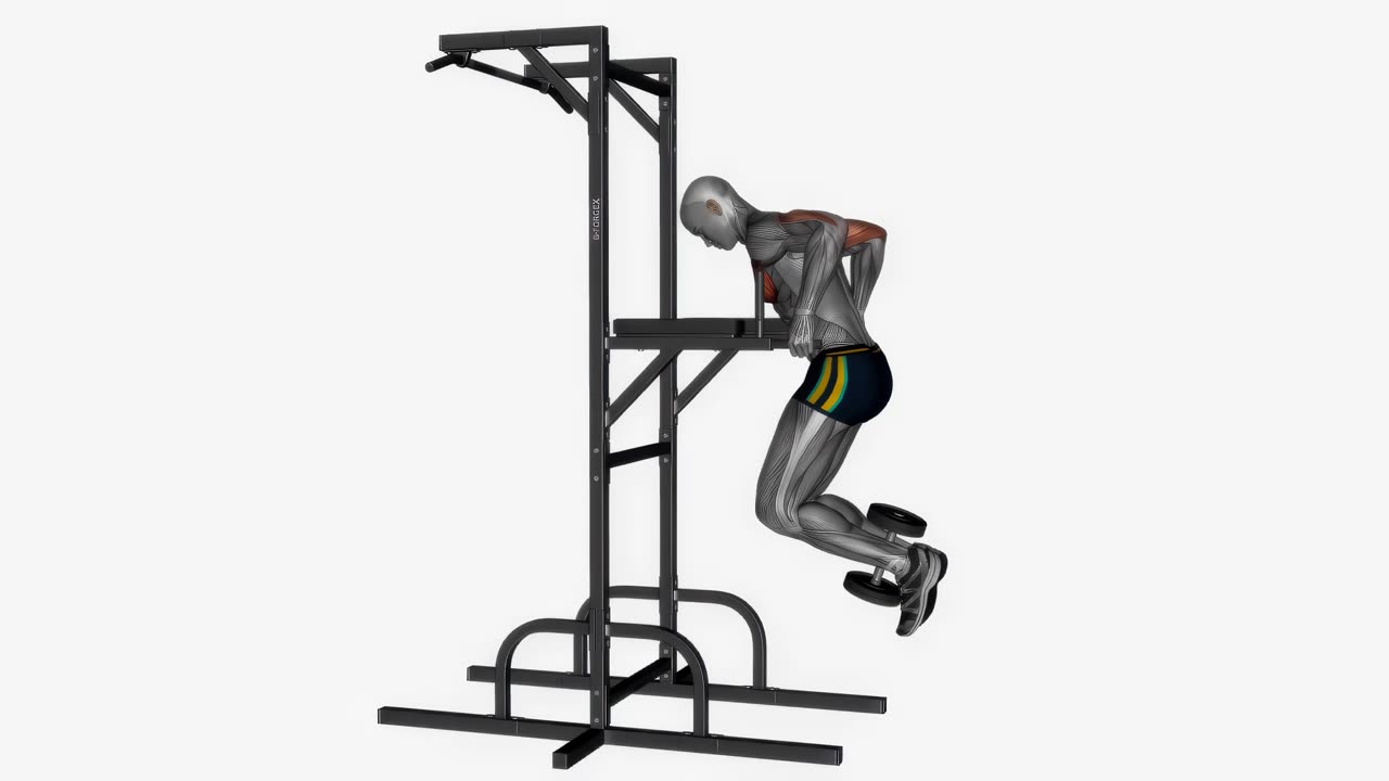 Viktade dips för bröst - startposition