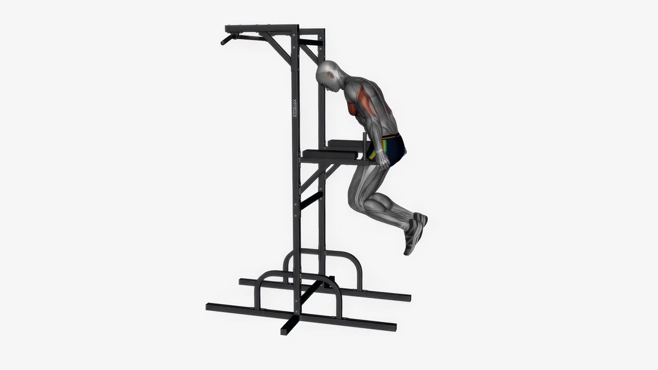 Dips med paus, bröstfokus - slutposition
