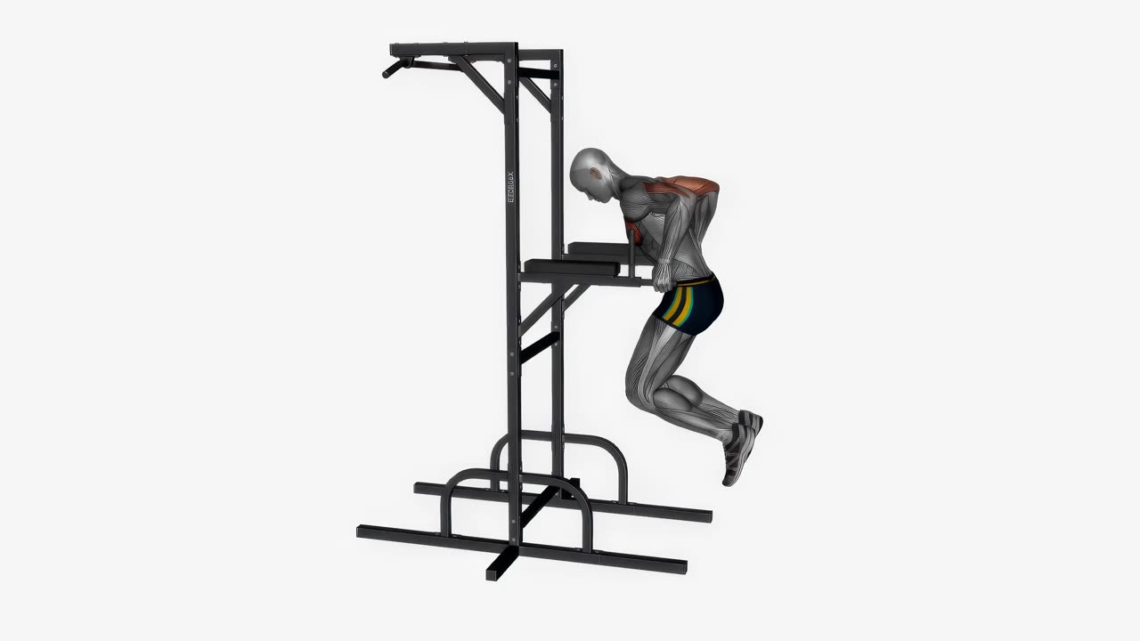 Dips med paus, bröstfokus - startposition