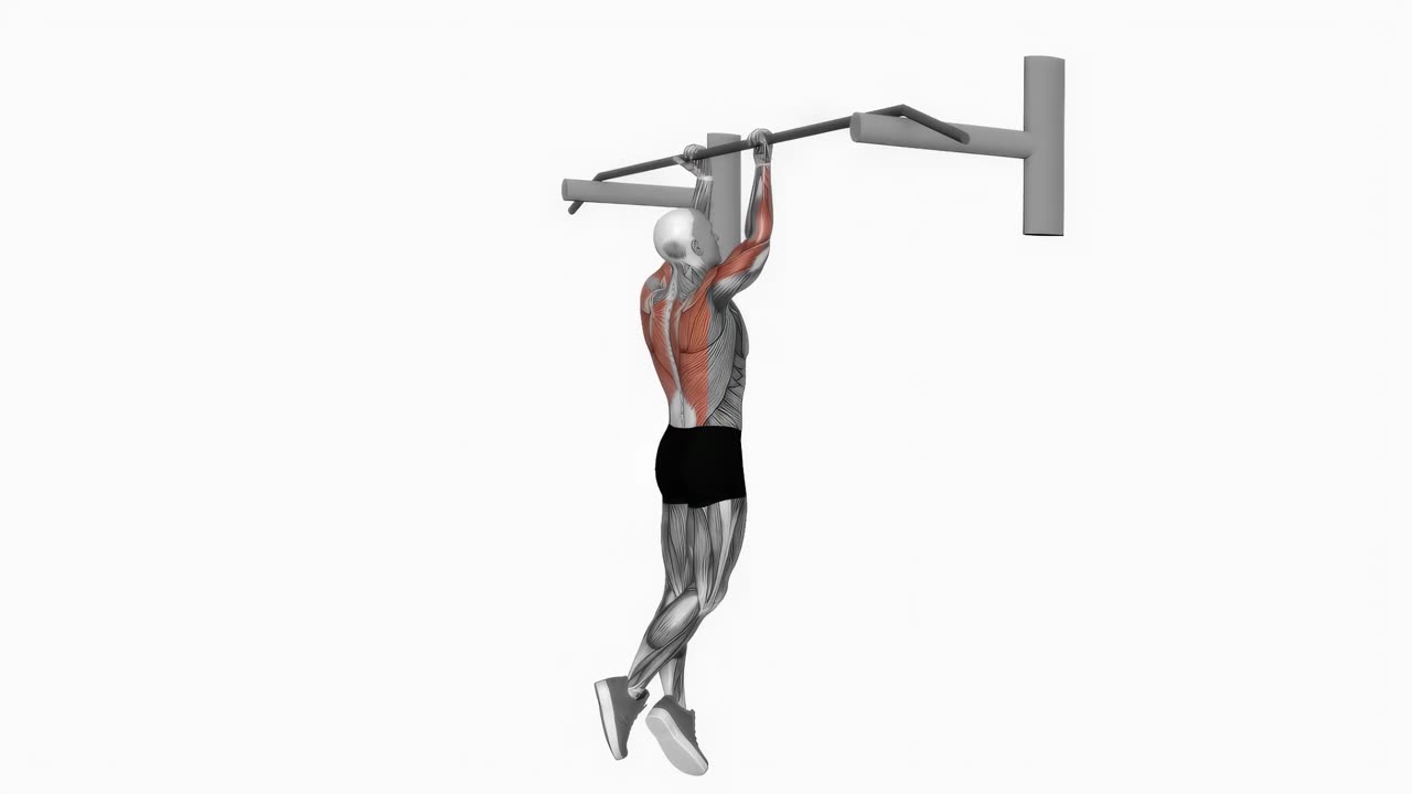 Chins med underhandsgrepp - startposition