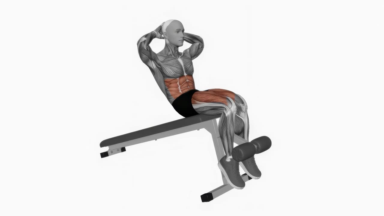 Sit-up i bänkvinkel - slutposition