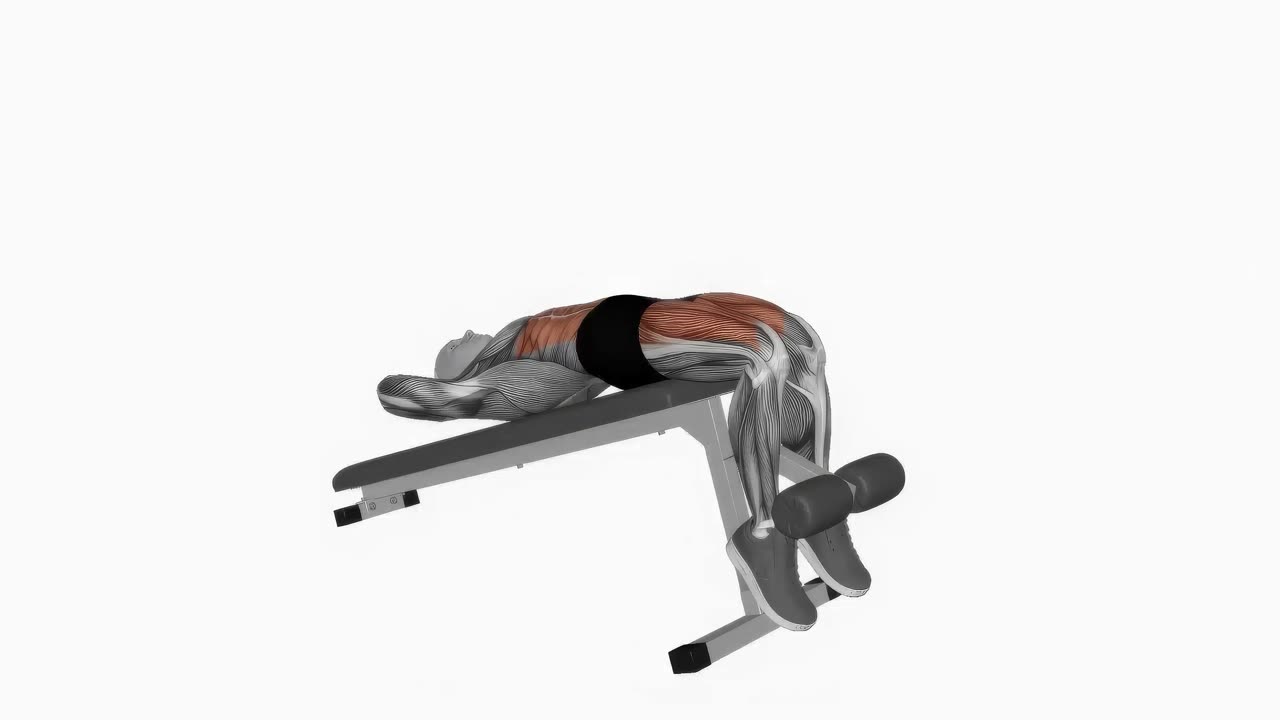 Sit-up i bänkvinkel - startposition