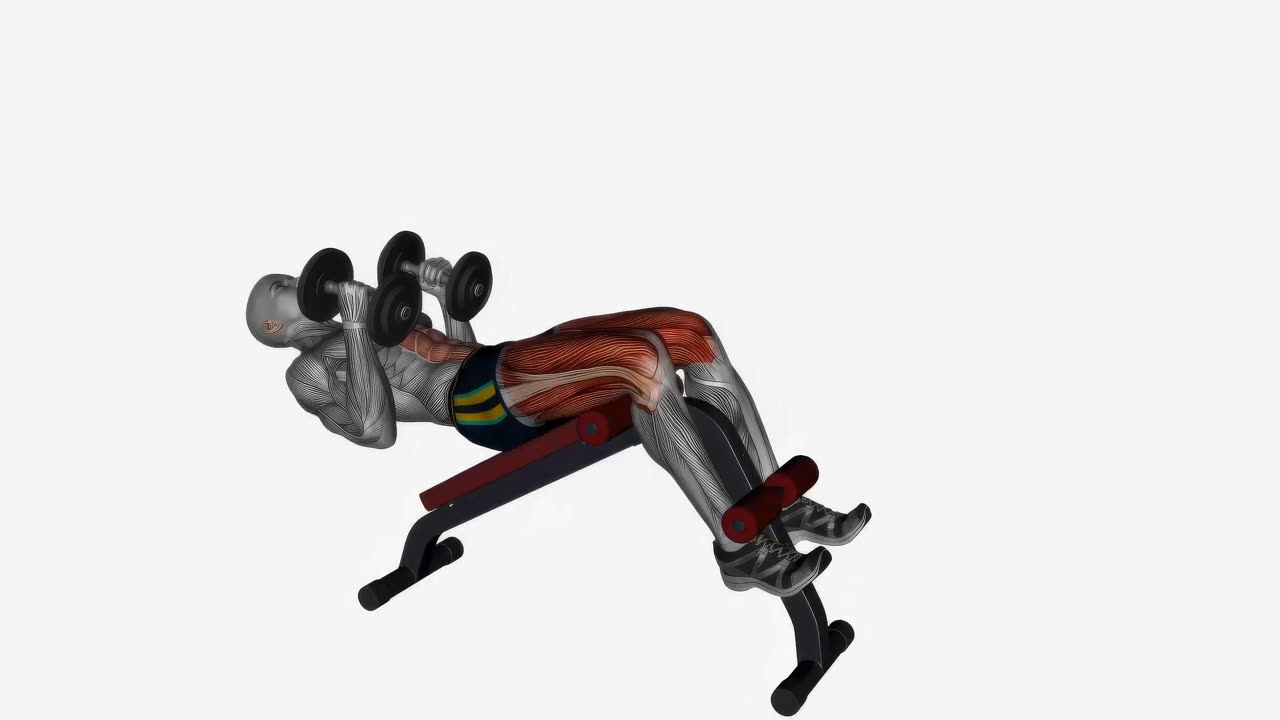Sit-up med hantlar på bränd bänk - startposition