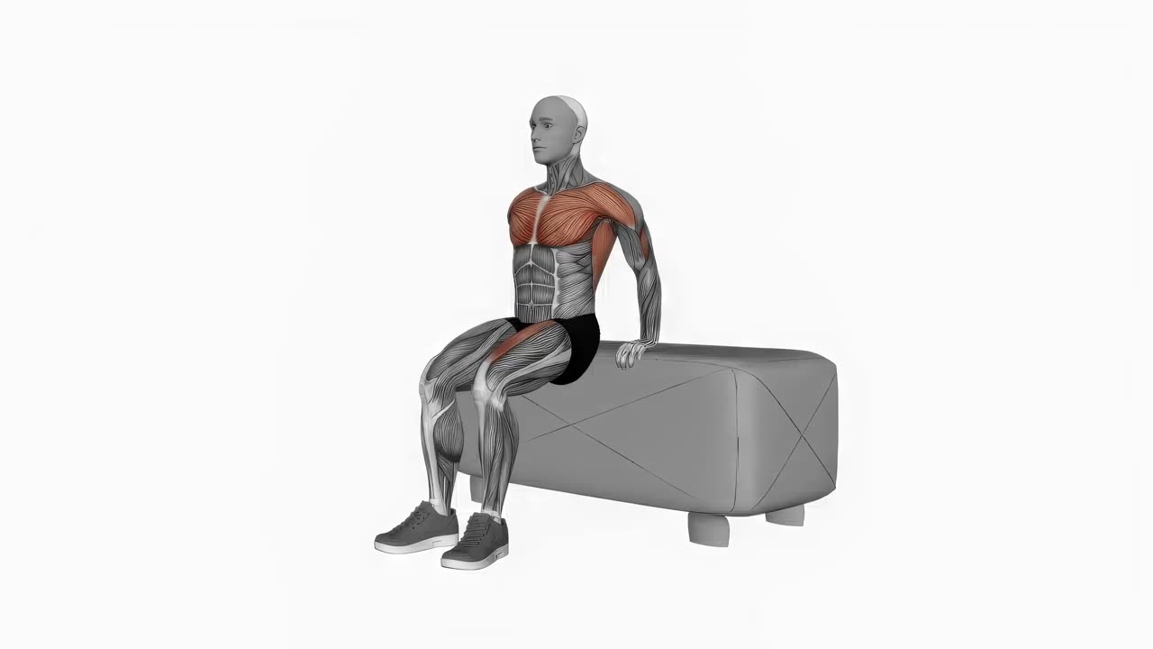 Dips med knälyft på soffa - startposition
