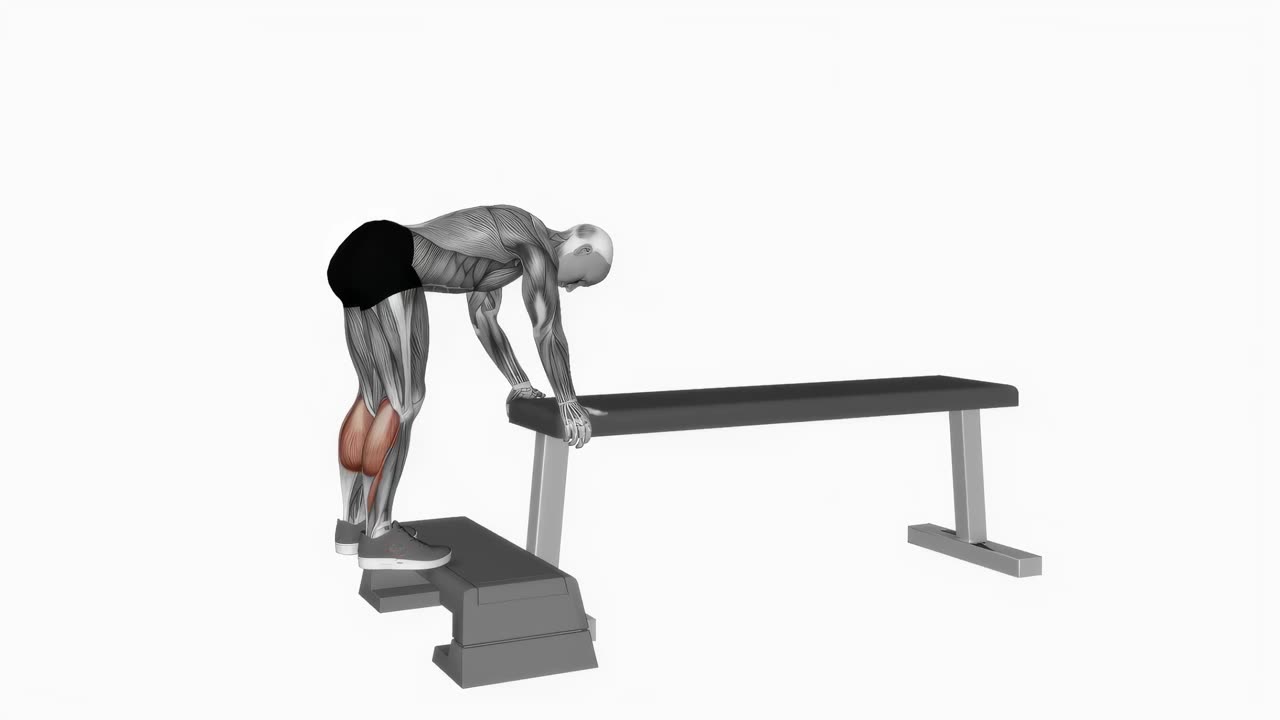 Donkey vadpress - startposition