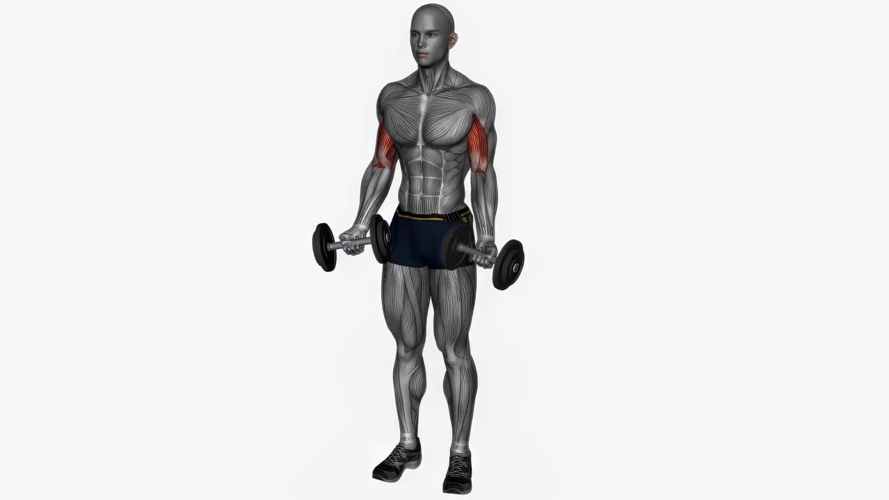 Drag curl med hantel - startposition