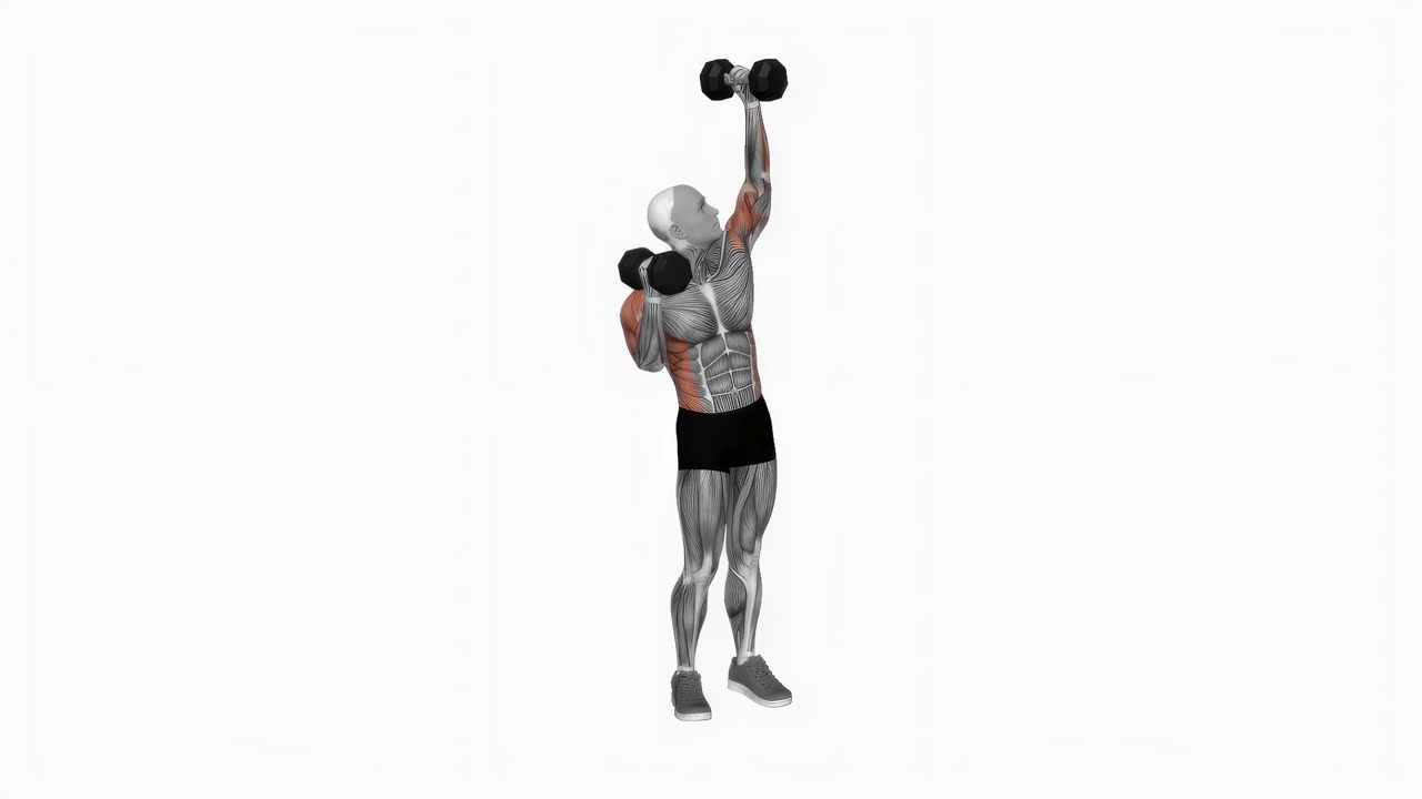 Alternerande sidopress med hantel - startposition