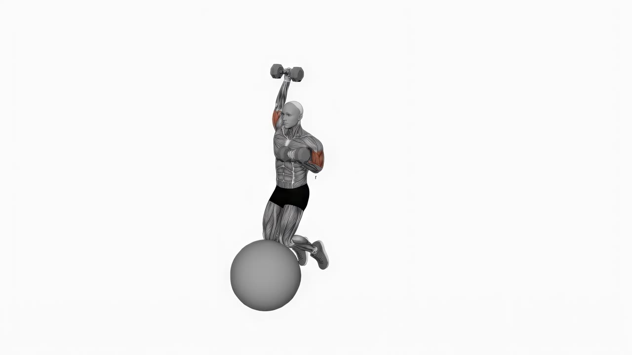 Alternerande hantelcurl och overhead tricepspress på stabilityboll - slutposition