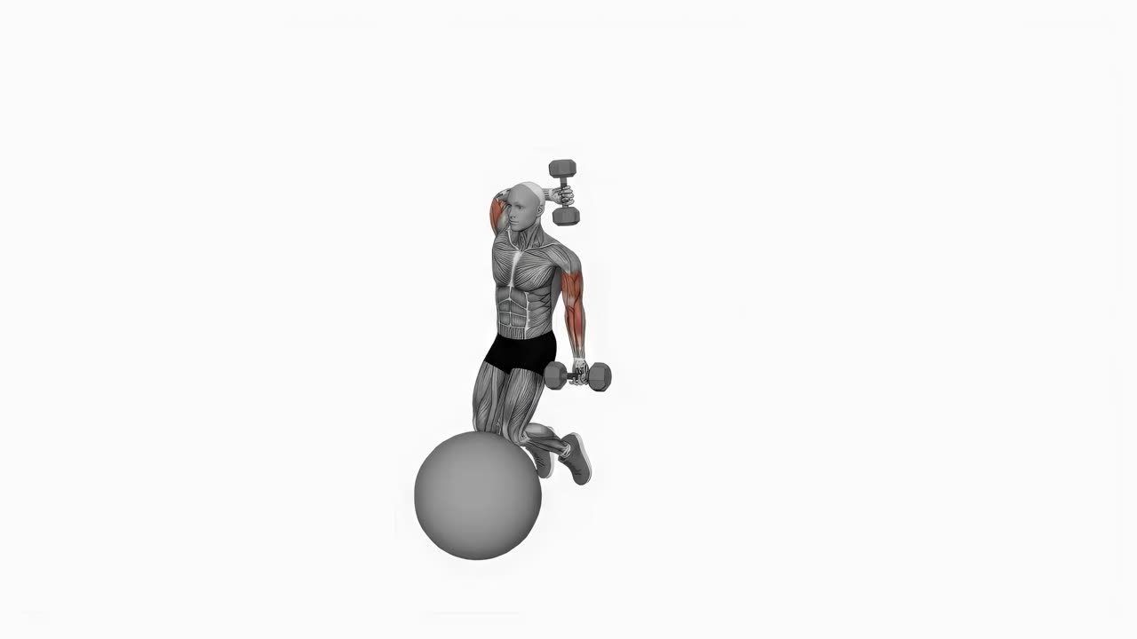 Alternerande hantelcurl och overhead tricepspress på stabilityboll - startposition