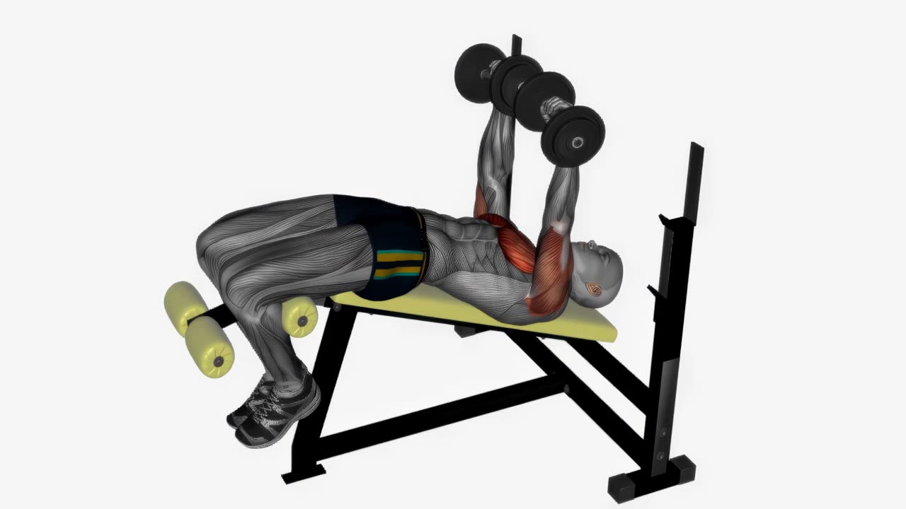 Nedåtlutande hantelpress - startposition