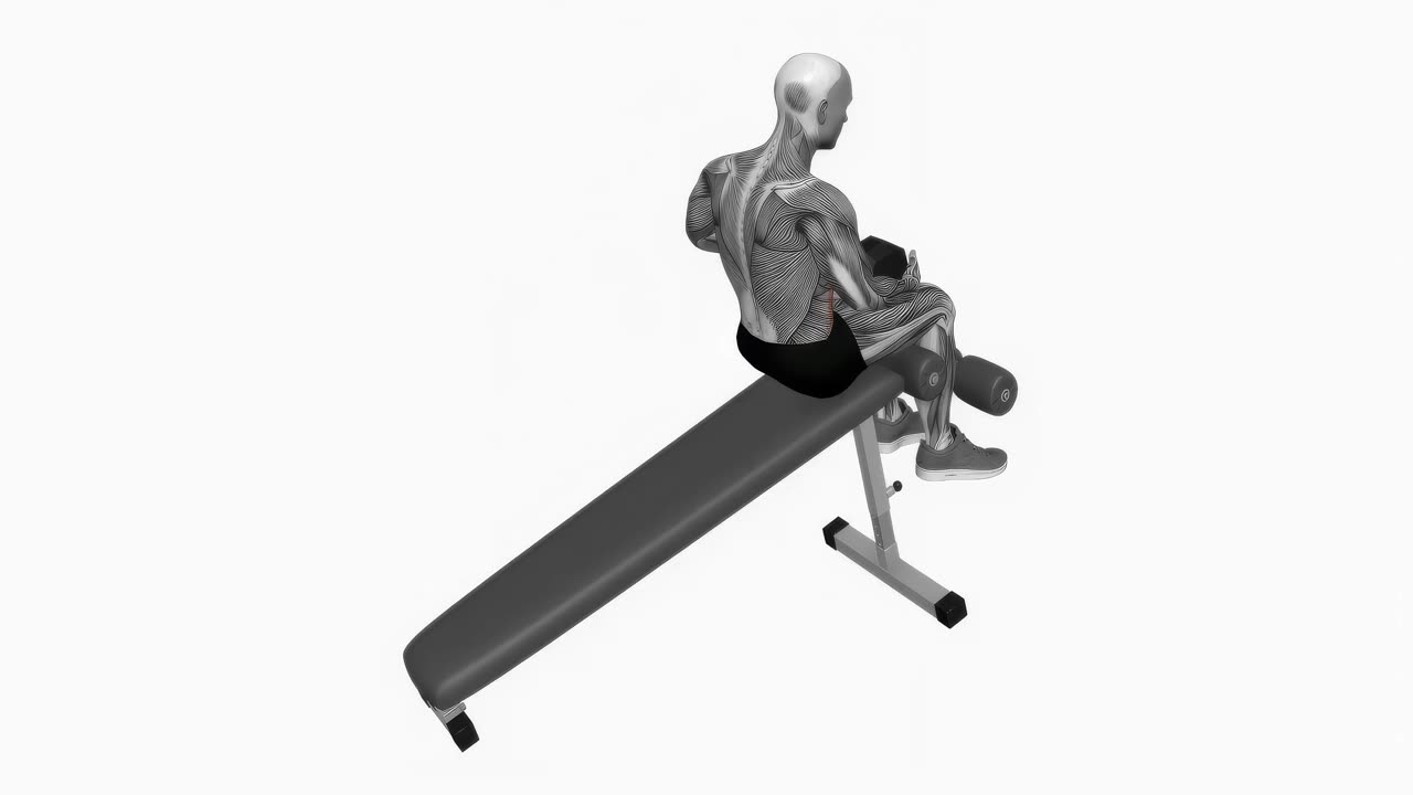 Sit-up med hantel på bänk i nedåtlutande position - slutposition