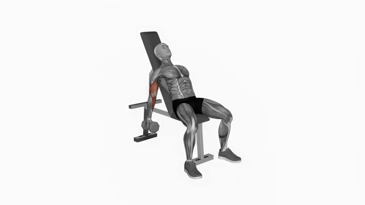 Uppåtlutande hantelcurl simultant - startposition