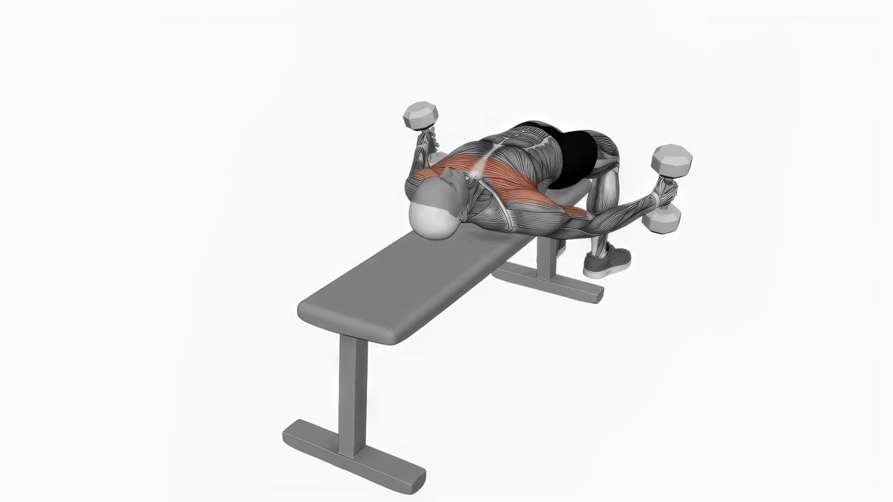 Liggande hantelcurl på bänk - startposition