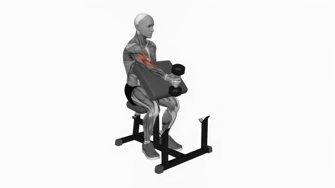 Enarms hammarcurl med hantel på preacherbänk - startposition