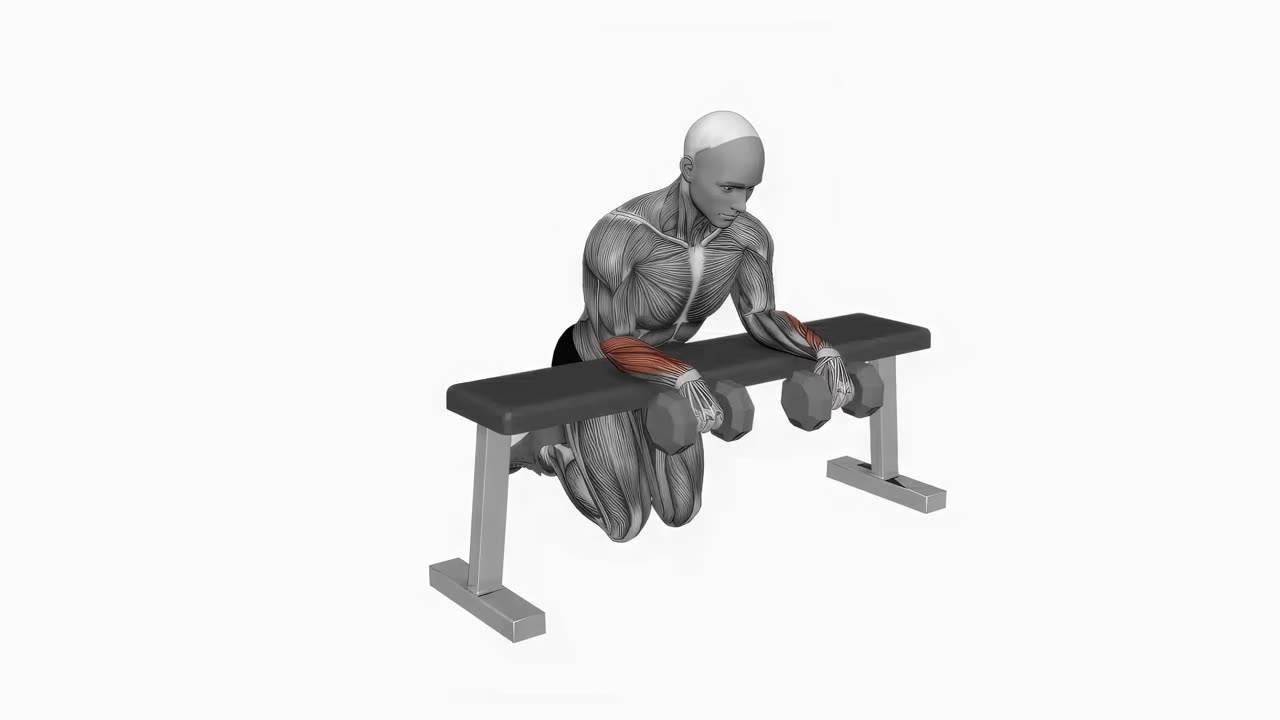 Handledscurl med hantel över bänk - startposition