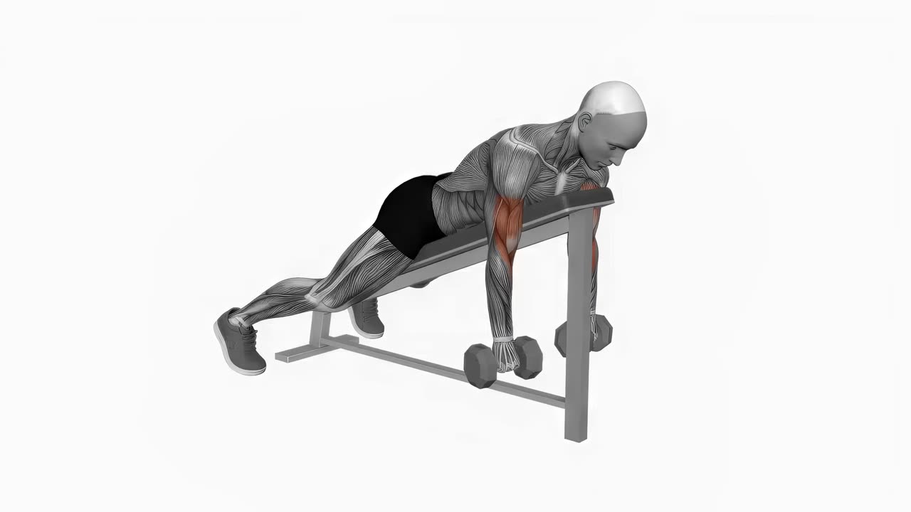 Omvänd spider curl med hantel - startposition