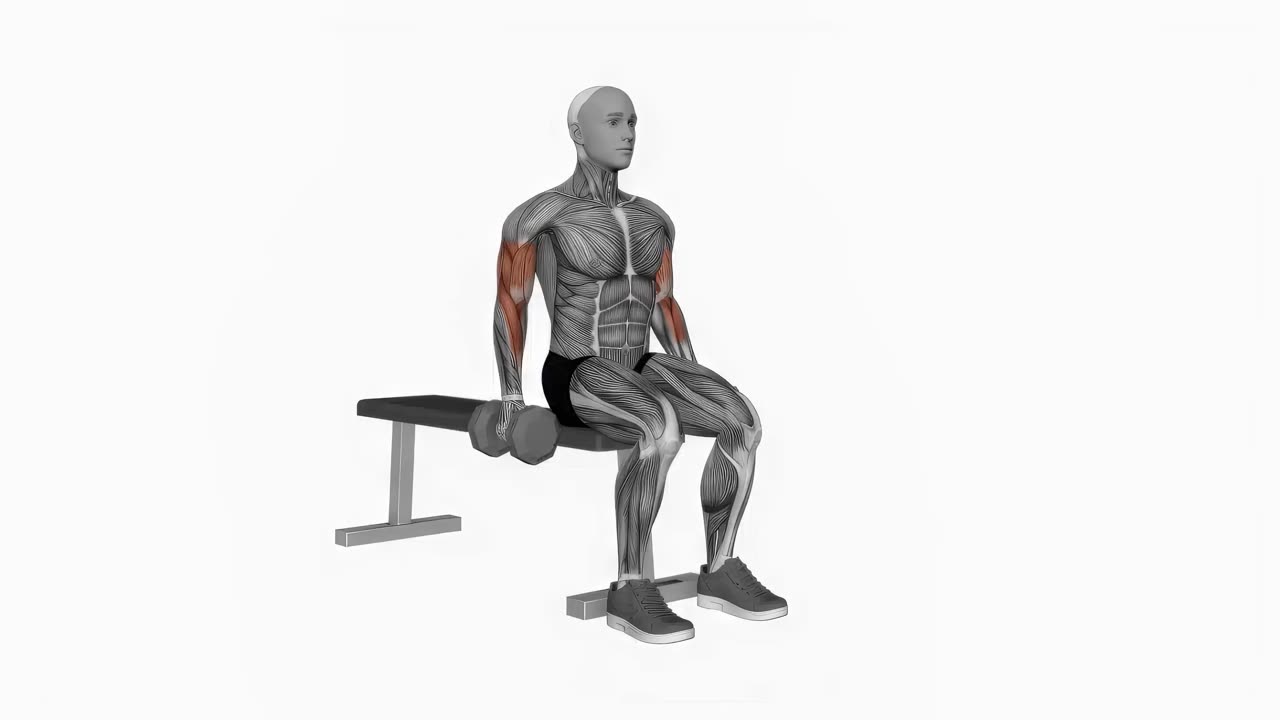 Sittande hantelcurl - startposition