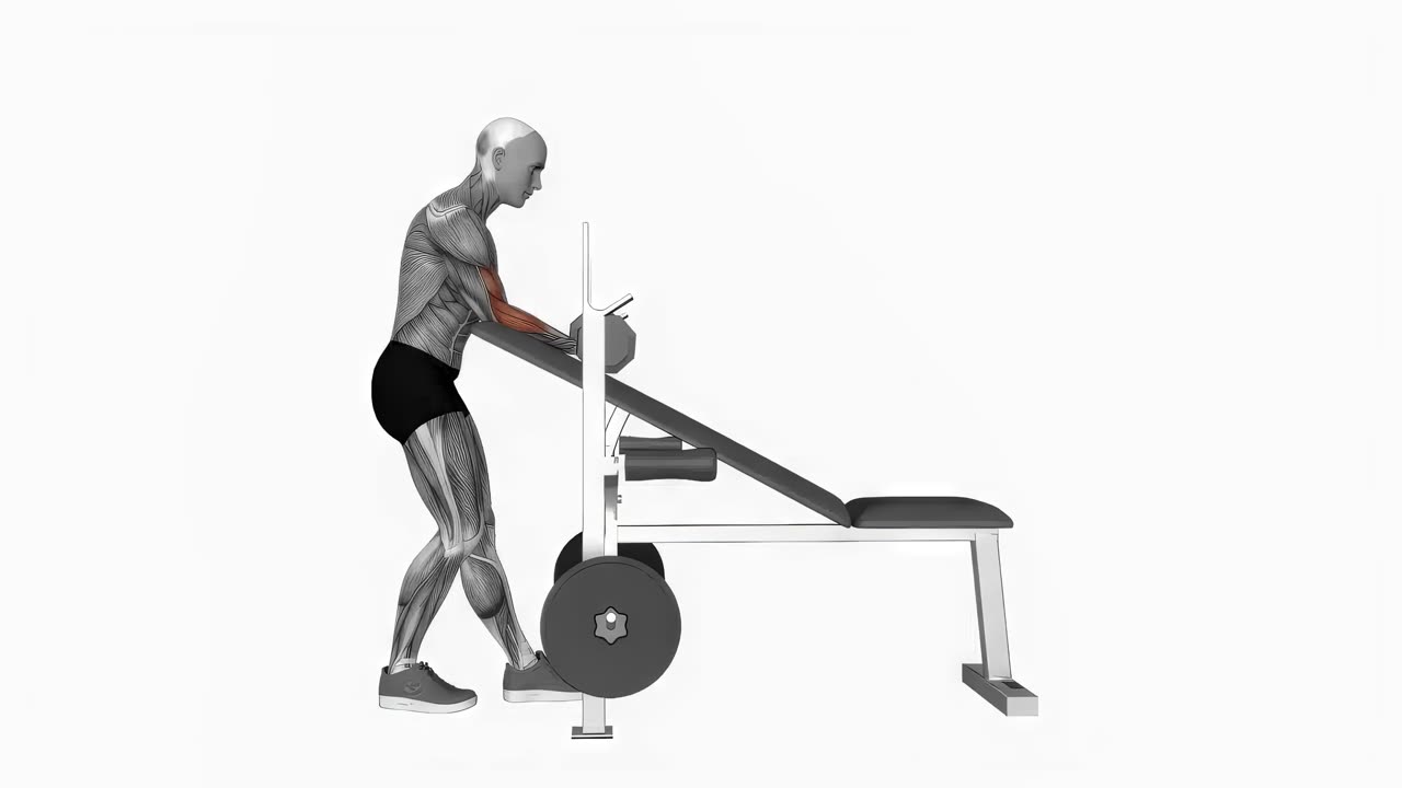 Enarms hantelcurl över lutande bänk, stående - startposition